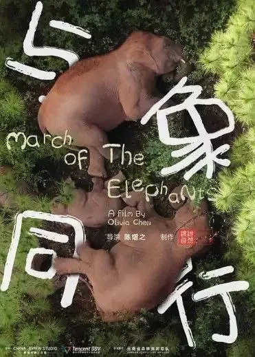 与象同行（2022）