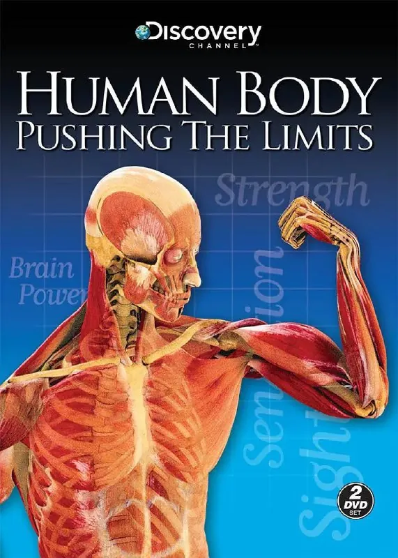 透视人体极限HumanBodyPushingtheLimits（2008）