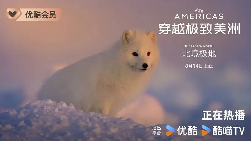 穿越极致美洲TheAmericas（2025）
