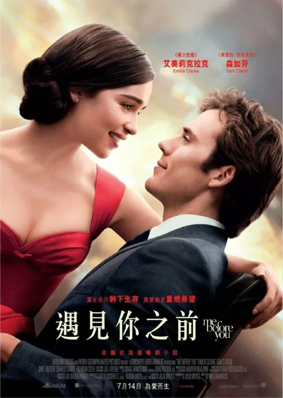 遇见你之前（2016）4KHDR中字外挂字幕