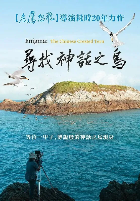 寻找神话之鸟（2021）
