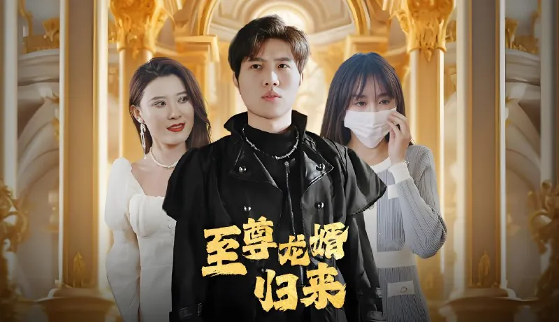 至尊龙婿归来