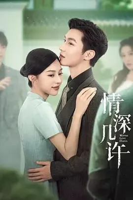 情深几许[2025]