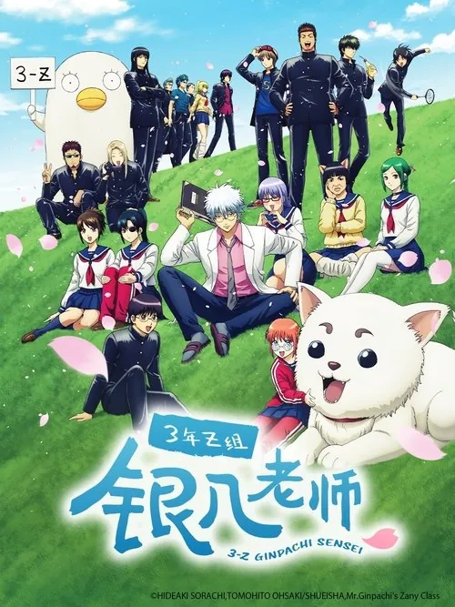 3年Z班银八老师（2025）