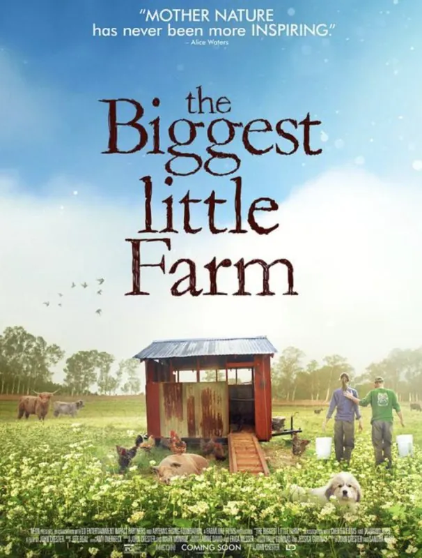 最大的小小农场