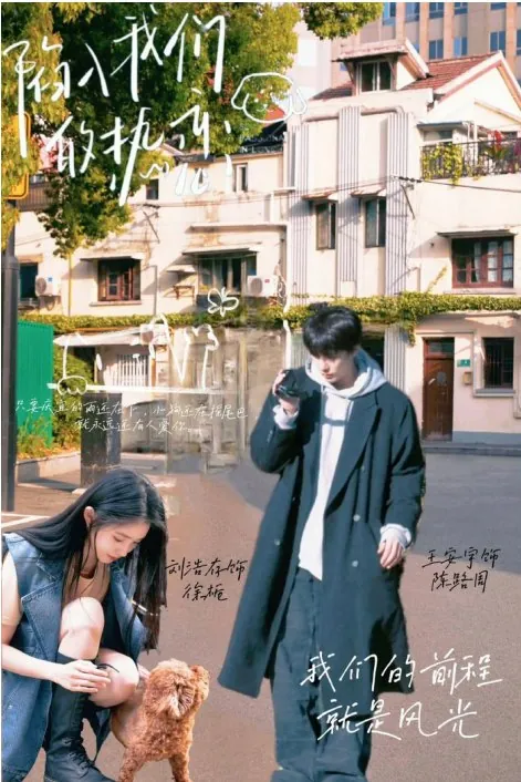 陷入我们的热恋（2025）