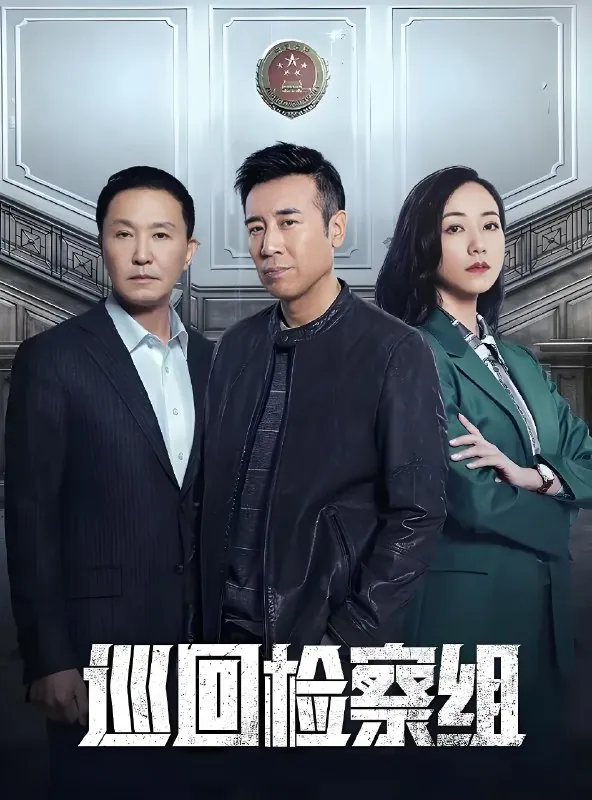 巡回检察组