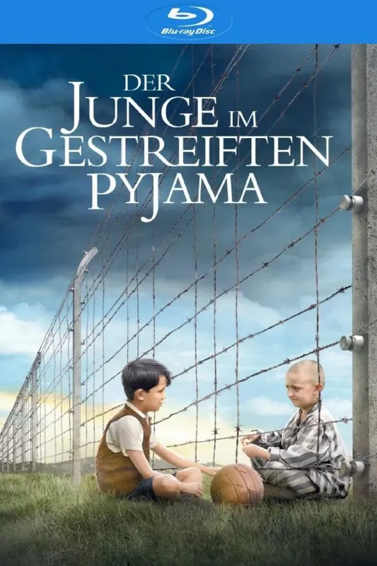 穿条纹睡衣的男孩（2008）