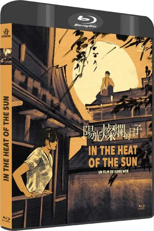 阳光灿烂的日子（1994）