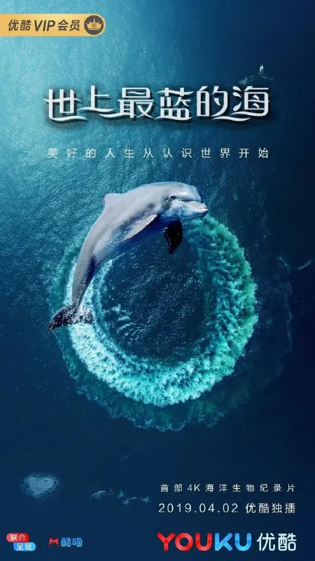 世上最蓝的海GreatBarrierReef：ALivingTreasure（2019）