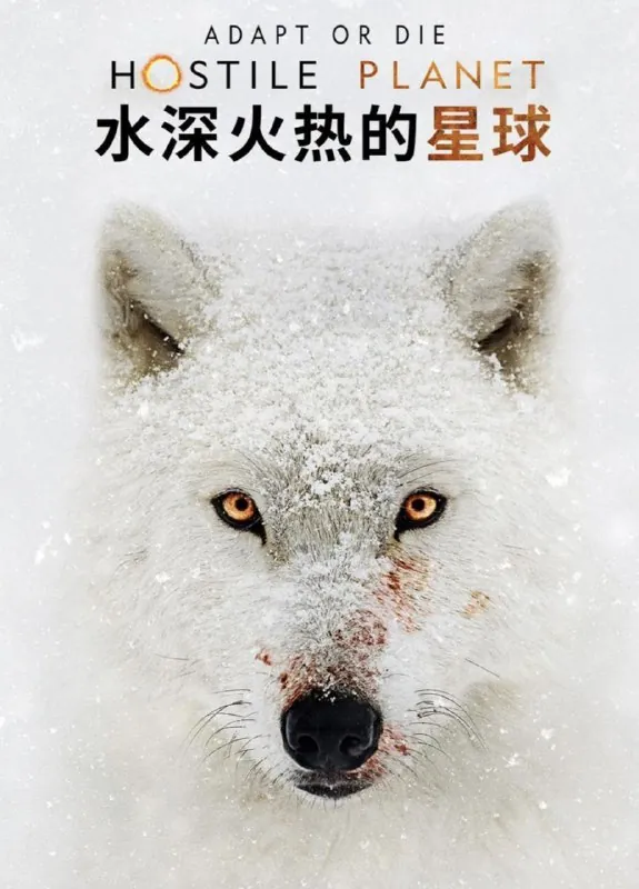 水深火热的星球（2019）