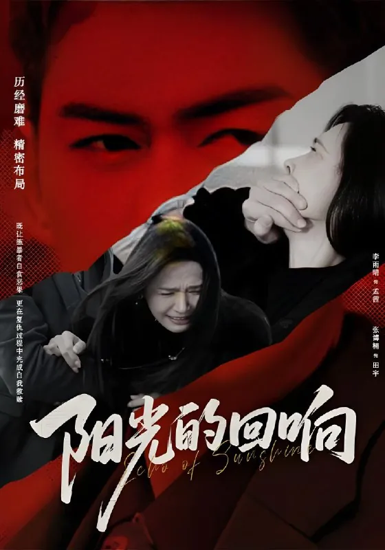 阳光的回响