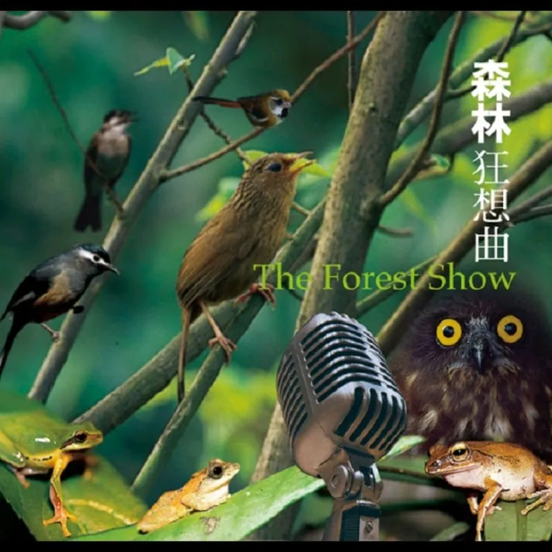 森林狂想曲大自然音乐