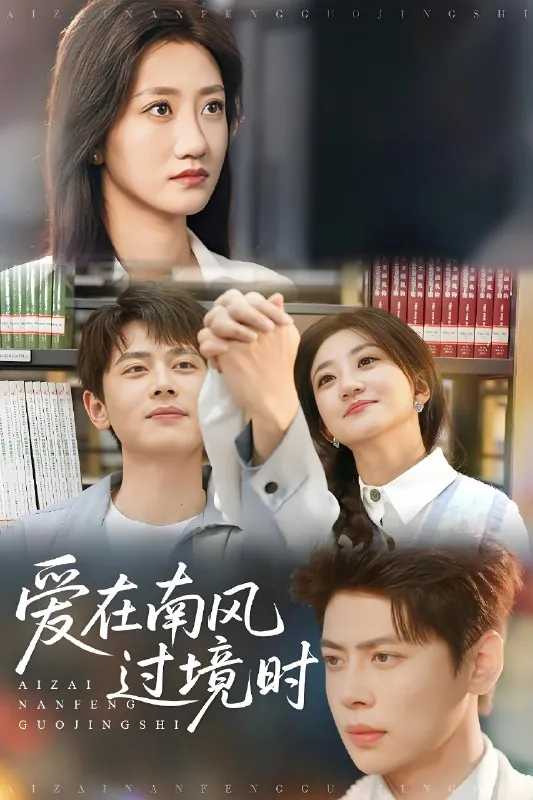 爱在南风过境时（79集）