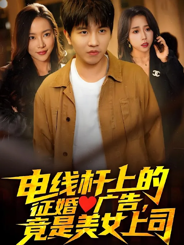 电线杆上的征婚广告竟是美女上司（90集）