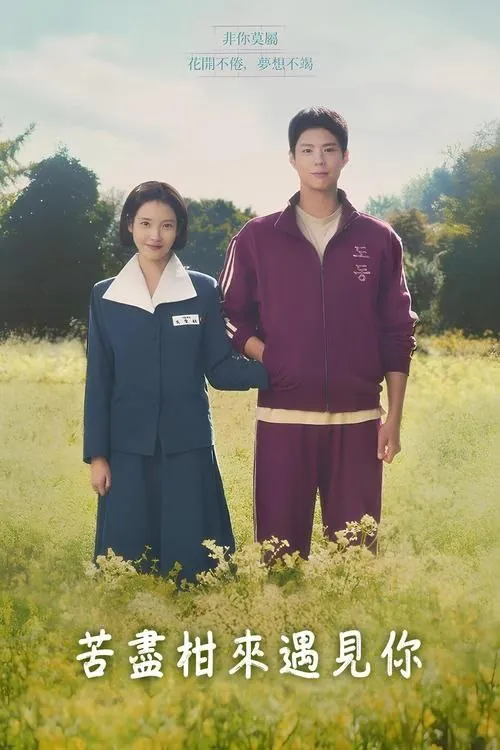 苦尽柑来遇见你（2025）4KHDR全集