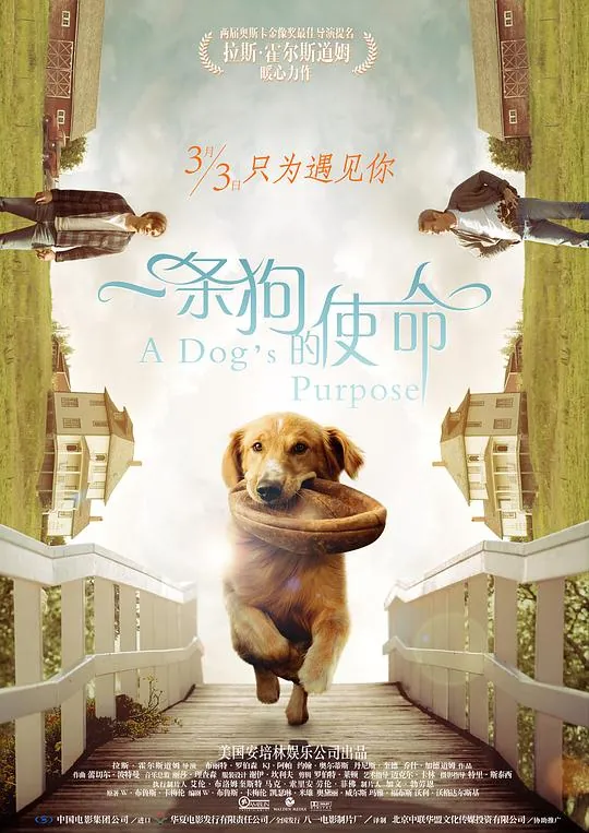 一条狗的使命（2017）