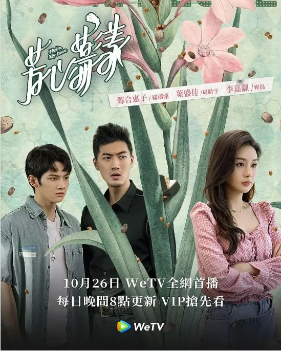 芳心荡漾