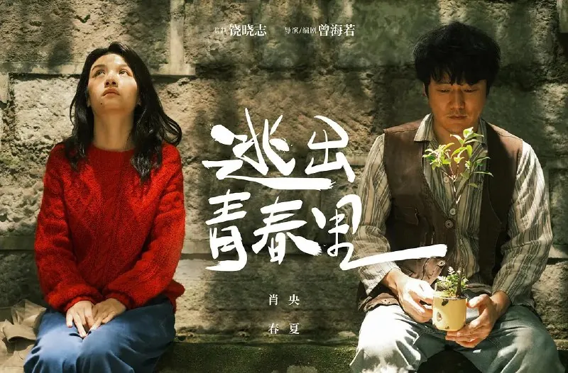 阳光照耀青春里