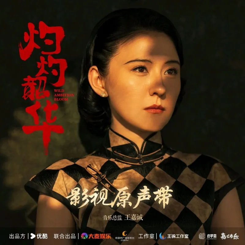 灼灼韶华影视原声带