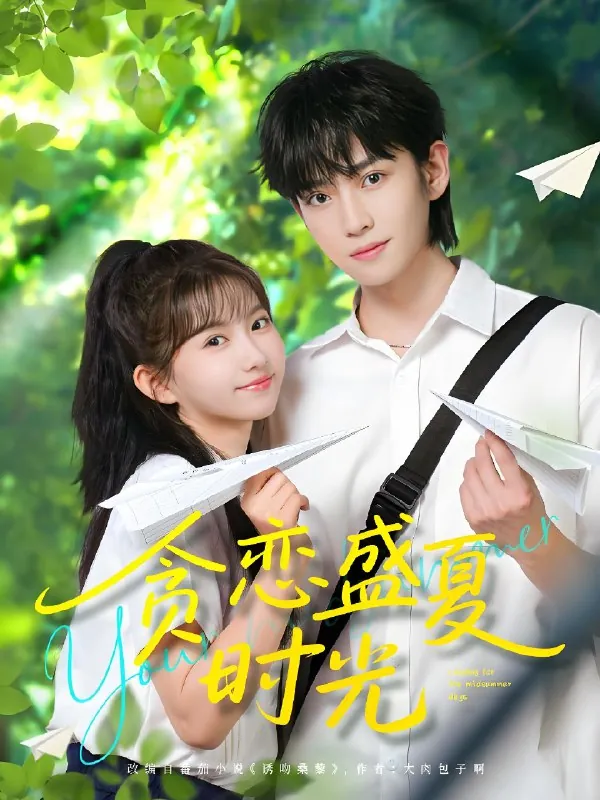 贪恋盛夏时光（87集）李沛洋&贺灵榣|短剧