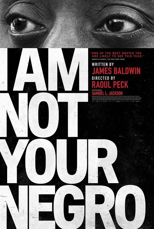 我不是你的黑鬼IAmNotYourNegro（2017）