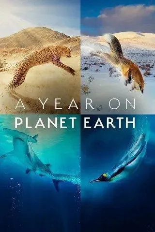 地球上的一年（2022）4K杜比视界中字硬字幕