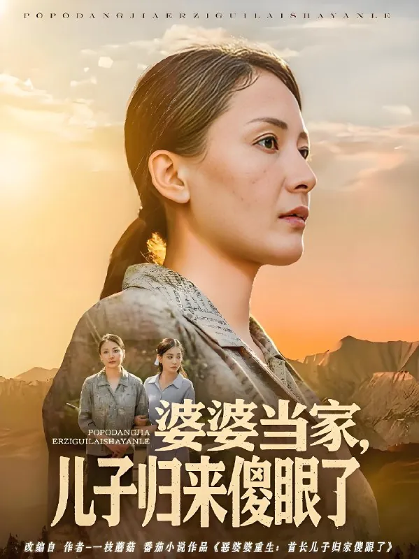 婆婆当家儿子归来傻眼了