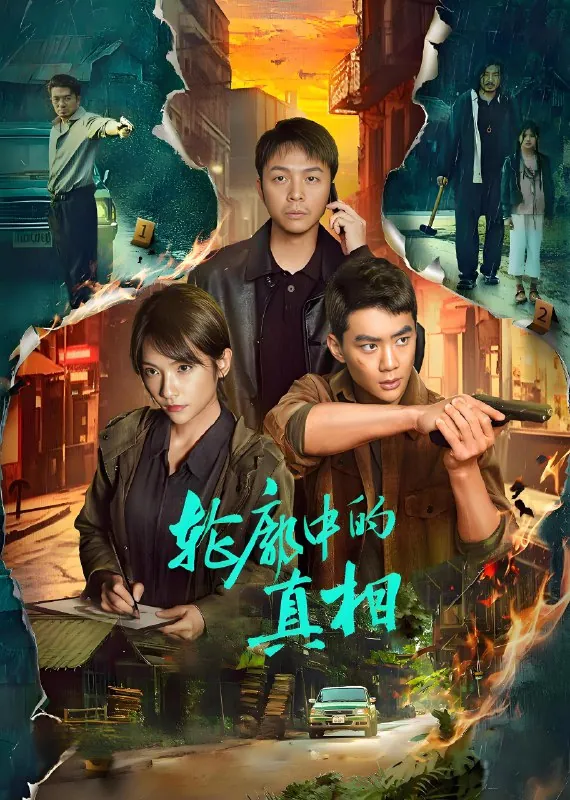 轮廓中的真相（24集）