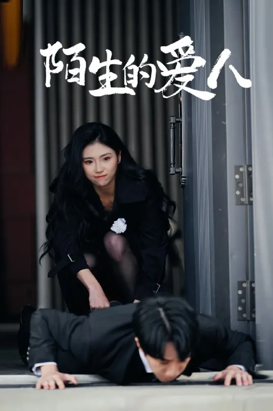 陌生的爱人（60集）骆虹宇|短剧