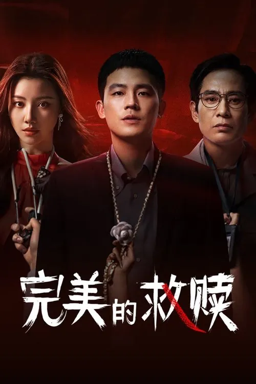 完美的救赎（2025）