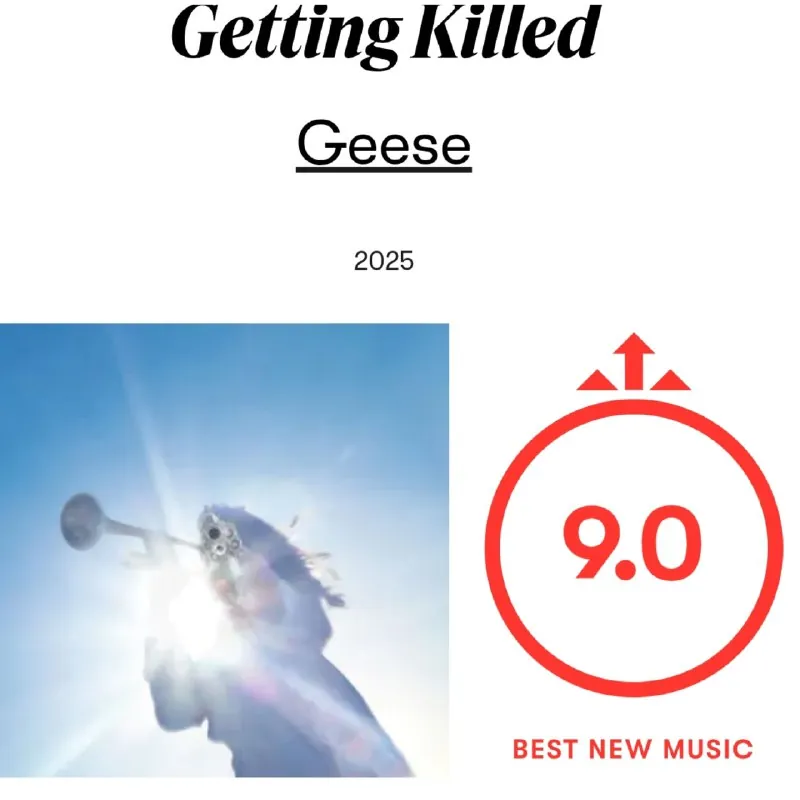 GeeseGettingKilled