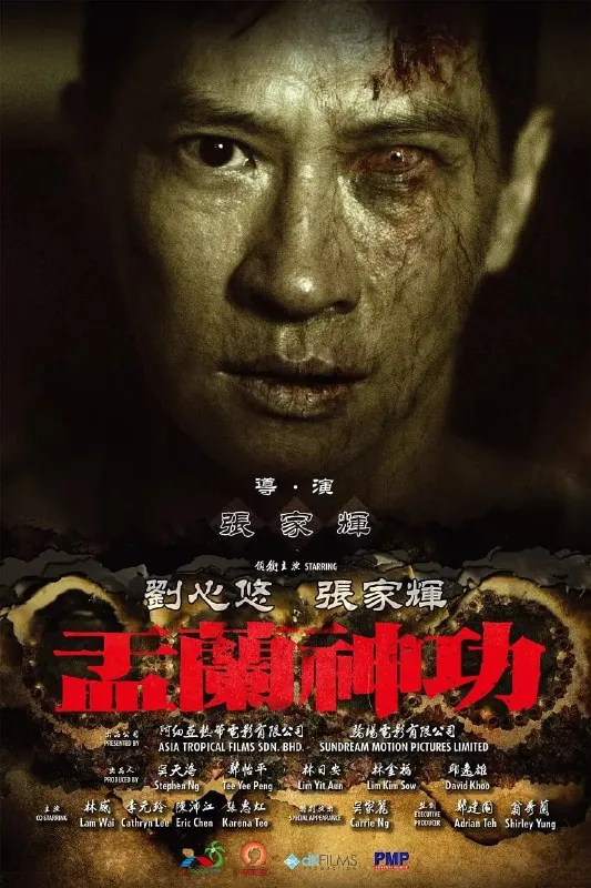 盂兰神功（2014）