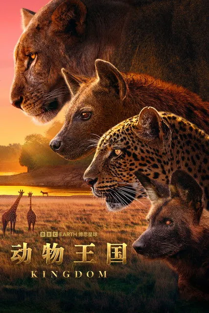 动物王国（2025）