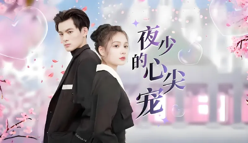 夜少的心尖宠（94集）|短剧