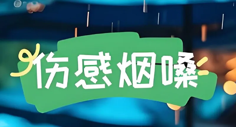 抖音烟嗓伤感车载大碟歌曲合集