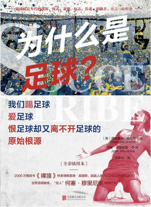 听书解读《为什么是足球？》