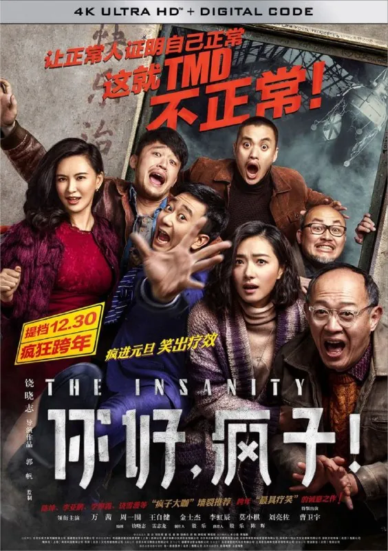 你好，疯子！（2016）