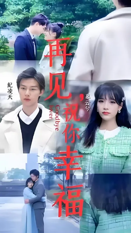 再见祝你幸福（100集）