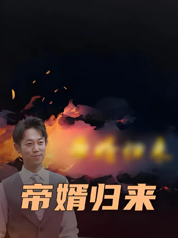 帝婿归来